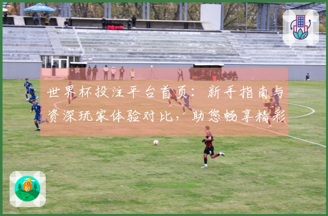 世界杯投注平台首页：新手指南与资深玩家体验对比，助您畅享精彩赛事