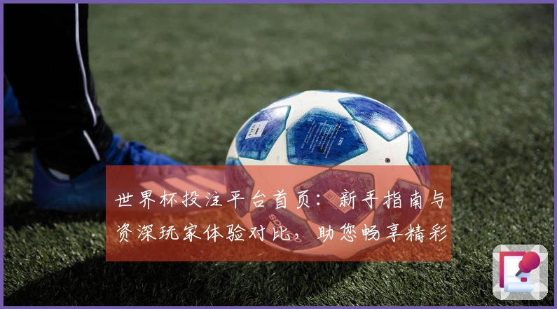 世界杯投注平台首页：新手指南与资深玩家体验对比，助您畅享精彩赛事