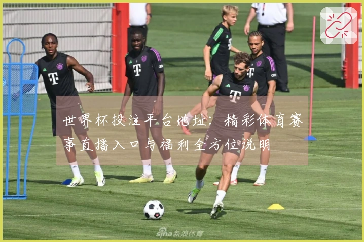 世界杯投注平台地址：精彩体育赛事直播入口与福利全方位说明