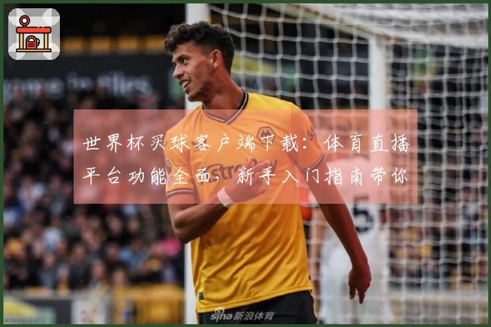 世界杯买球客户端下载：体育直播平台功能全面，新手入门指南带你轻松畅享赛事