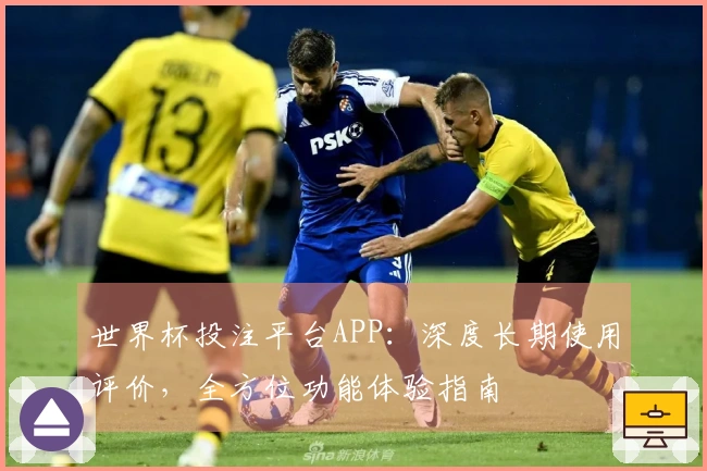 世界杯投注平台APP：深度长期使用评价，全方位功能体验指南