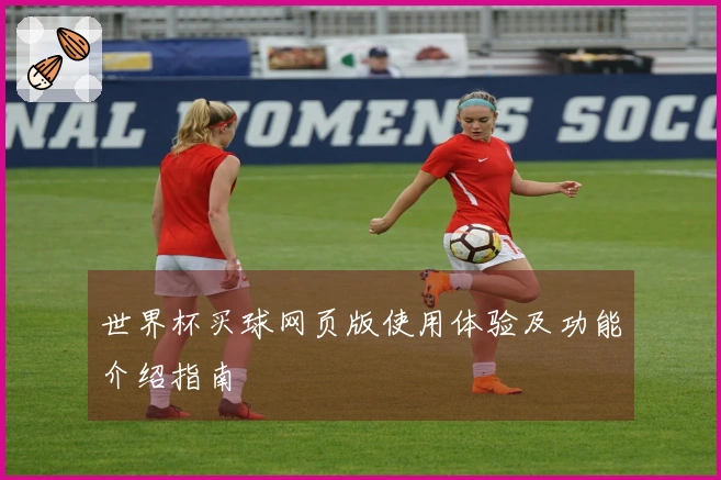 世界杯买球网页版使用体验及功能介绍指南