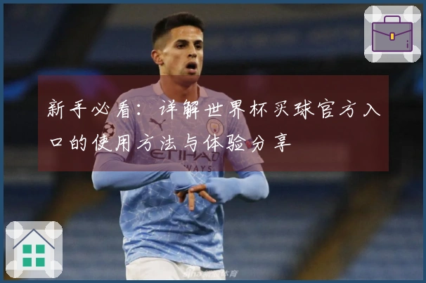 新手必看：详解世界杯买球官方入口的使用方法与体验分享