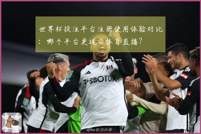 世界杯投注平台注册使用体验对比：哪个平台更适合体育直播？