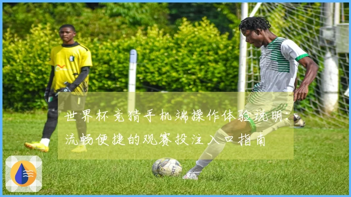 世界杯竞猜手机端操作体验说明：流畅便捷的观赛投注入口指南