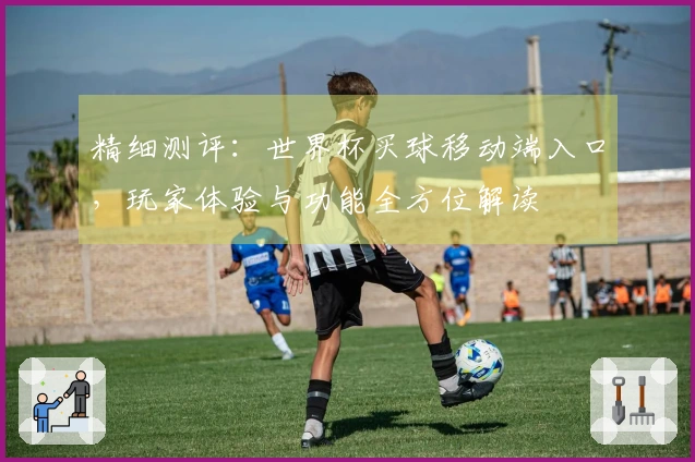 精细测评：世界杯买球移动端入口，玩家体验与功能全方位解读