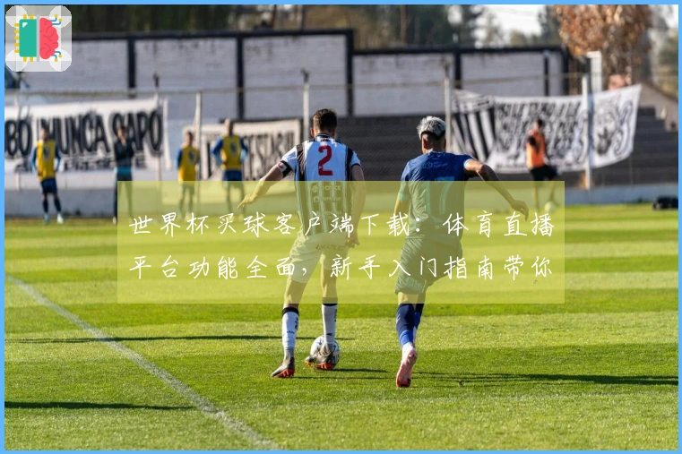 世界杯买球客户端下载：体育直播平台功能全面，新手入门指南带你轻松畅享赛事