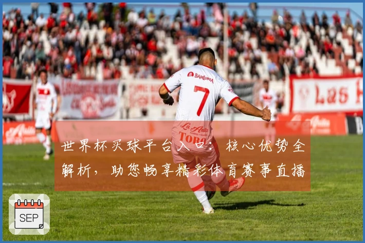 世界杯买球平台入口：核心优势全解析，助您畅享精彩体育赛事直播体验