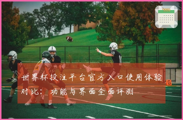 世界杯投注平台官方入口使用体验对比：功能与界面全面评测