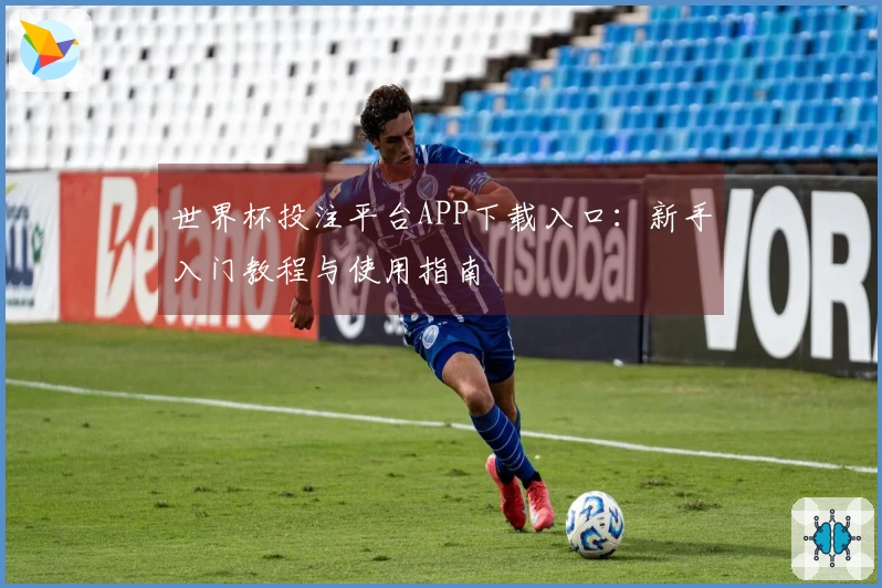 世界杯投注平台APP下载入口：新手入门教程与使用指南