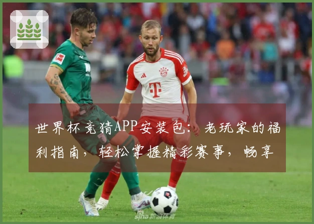 世界杯竞猜APP安装包：老玩家的福利指南，轻松掌握精彩赛事，畅享限时优惠。